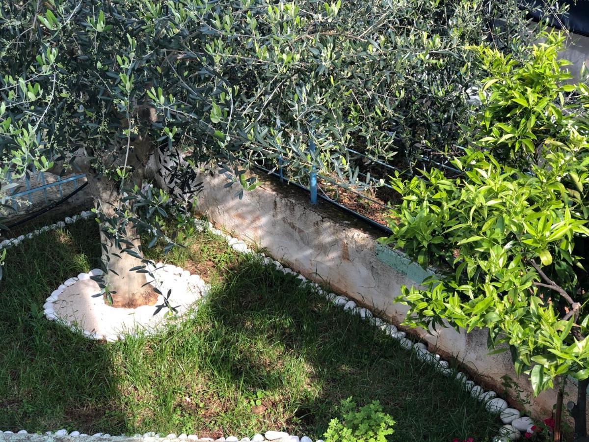 Villa Elvis Caca Ksamil Dış mekan fotoğraf